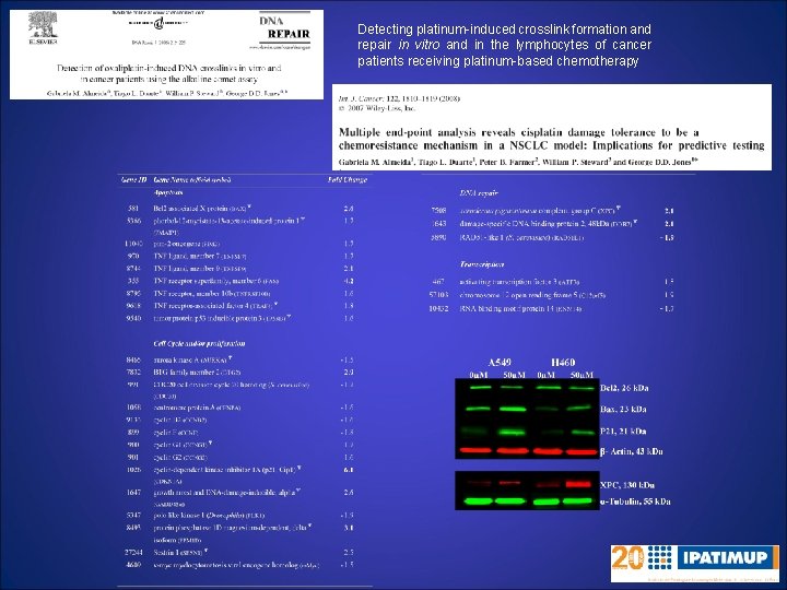 Detecting platinum-induced crosslink formation and repair in vitro and in the lymphocytes of cancer