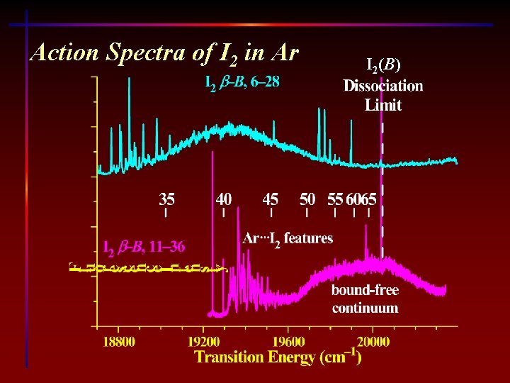 Action Spectra of I 2 in Ar I 2(B) 