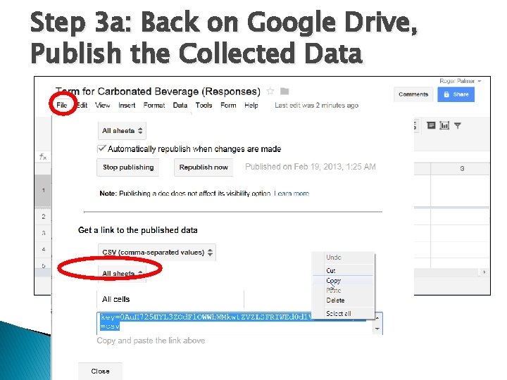 Step 3 a: Back on Google Drive, Publish the Collected Data 