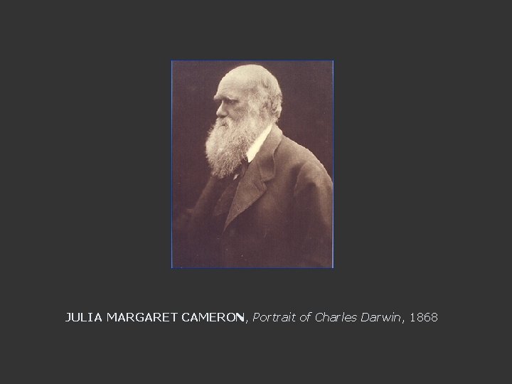 JULIA MARGARET CAMERON, Portrait of Charles Darwin, 1868 