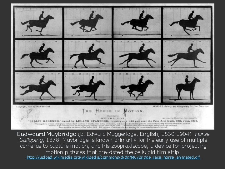 Eadweard Muybridge (b. Edward Muggeridge, English, 1830 -1904) Horse Galloping, 1878. Muybridge is known