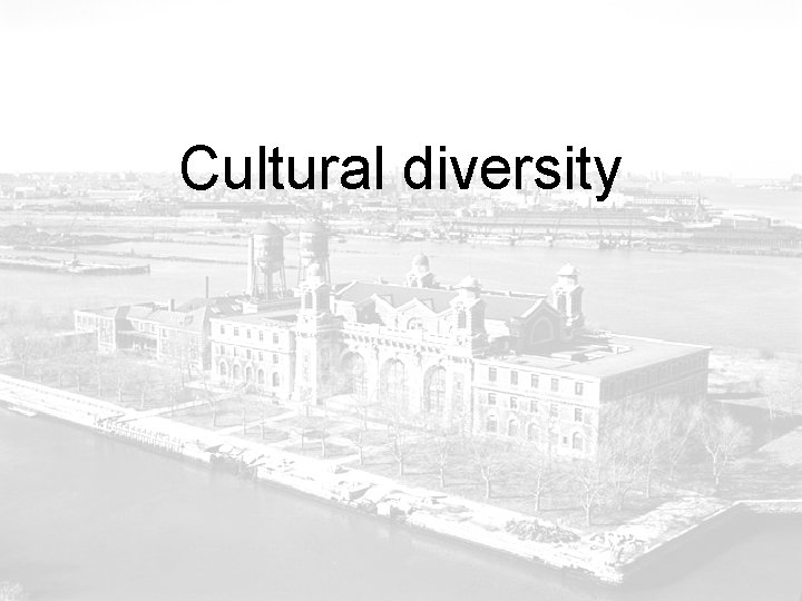 Cultural diversity 