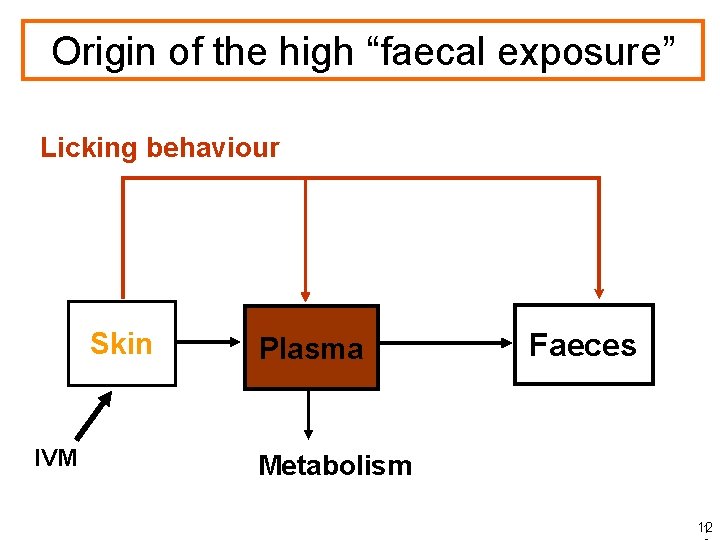 Origin of the high “faecal exposure” Licking behaviour Skin IVM Plasma Faeces Metabolism 12