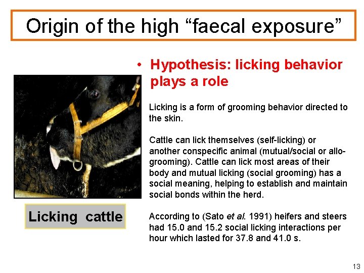 Origin of the high “faecal exposure” • Hypothesis: licking behavior plays a role Licking