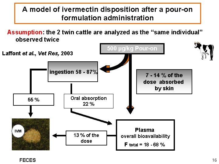 A model of ivermectin disposition after a pour-on formulation administration Assumption: the 2 twin