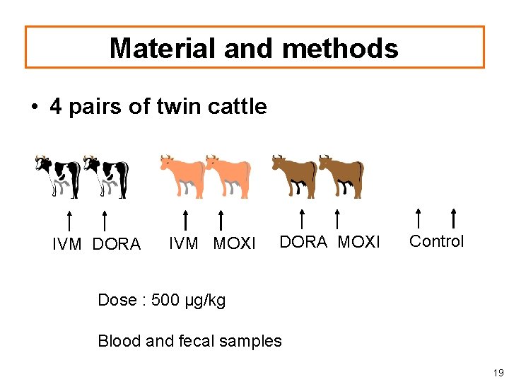 Material and methods • 4 pairs of twin cattle IVM DORA IVM MOXI DORA