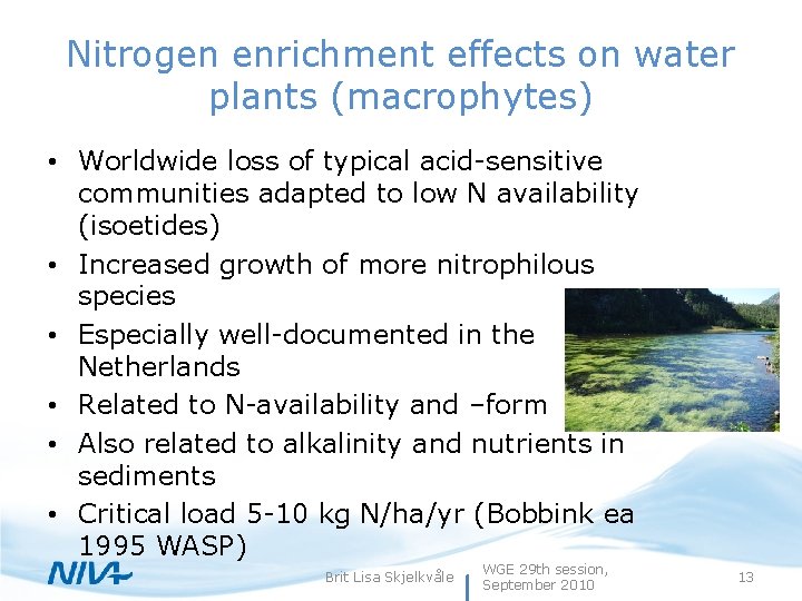 Nitrogen enrichment effects on water plants (macrophytes) • Worldwide loss of typical acid-sensitive communities