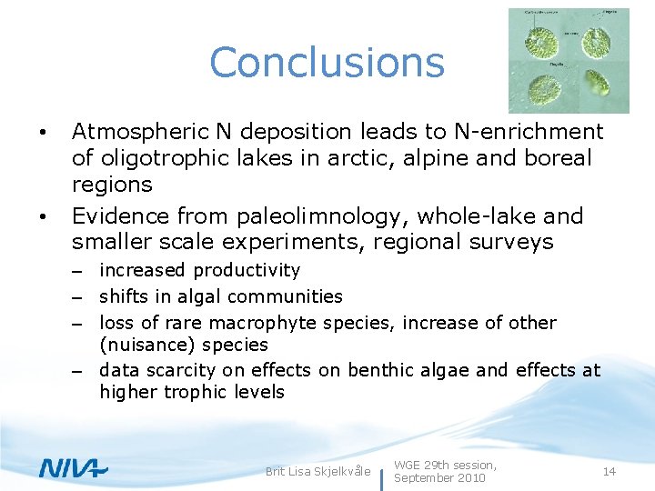 Conclusions • • Atmospheric N deposition leads to N-enrichment of oligotrophic lakes in arctic,