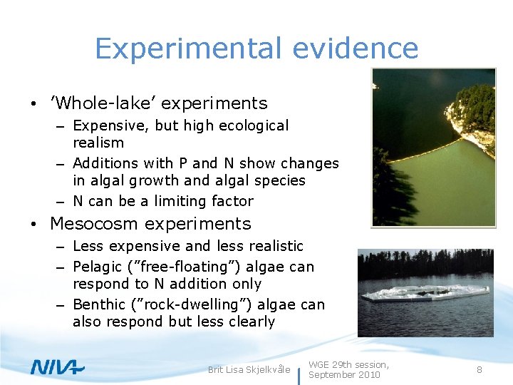 Experimental evidence • ’Whole-lake’ experiments – Expensive, but high ecological realism – Additions with