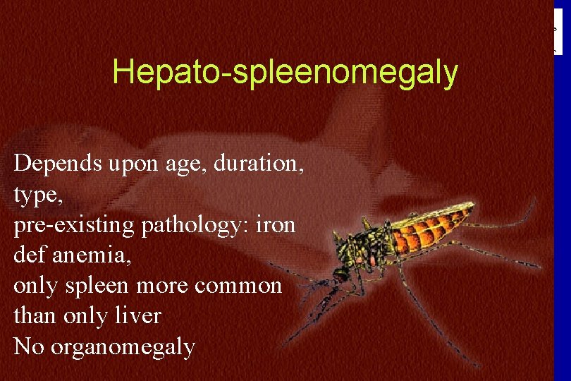 N=234 Hepato-spleenomegaly Depends upon age, duration, type, pre-existing pathology: iron def anemia, only spleen