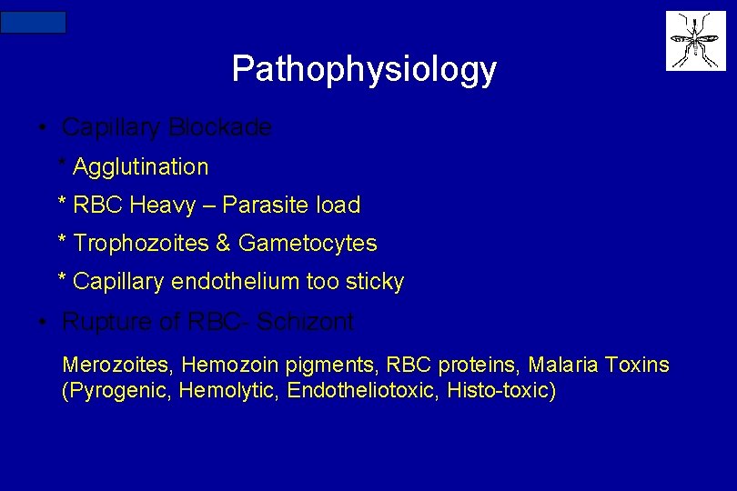 N=234 Pathophysiology • Capillary Blockade * Agglutination * RBC Heavy – Parasite load *