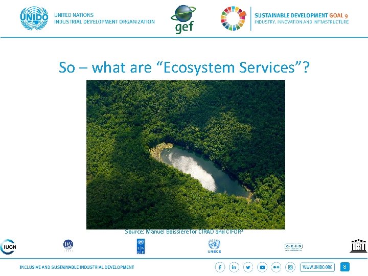 So – what are “Ecosystem Services”? Source: Manuel Boissière for CIRAD and CIFOR 1