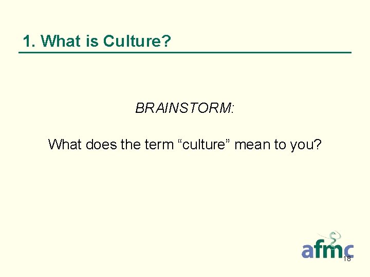 1. What is Culture? BRAINSTORM: What does the term “culture” mean to you? 18