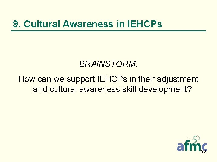 9. Cultural Awareness in IEHCPs BRAINSTORM: How can we support IEHCPs in their adjustment