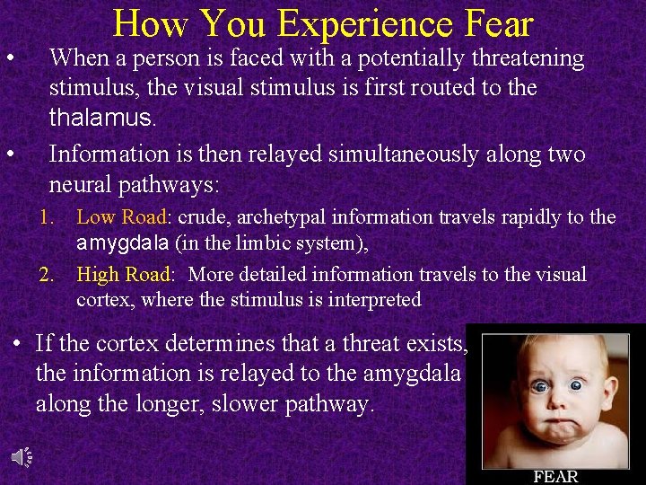  • • How You Experience Fear When a person is faced with a