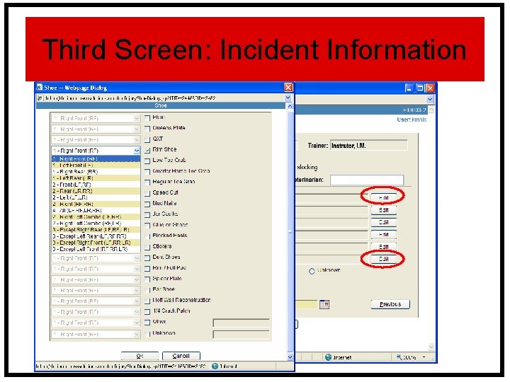 Third Screen: Incident Information Screen 