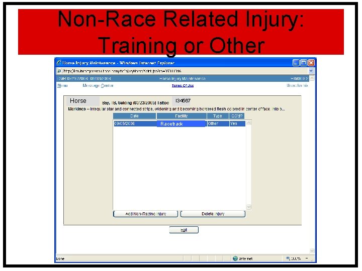Non-Race Related Injury: Status Training or Other Horse I 34567 Racetrack 
