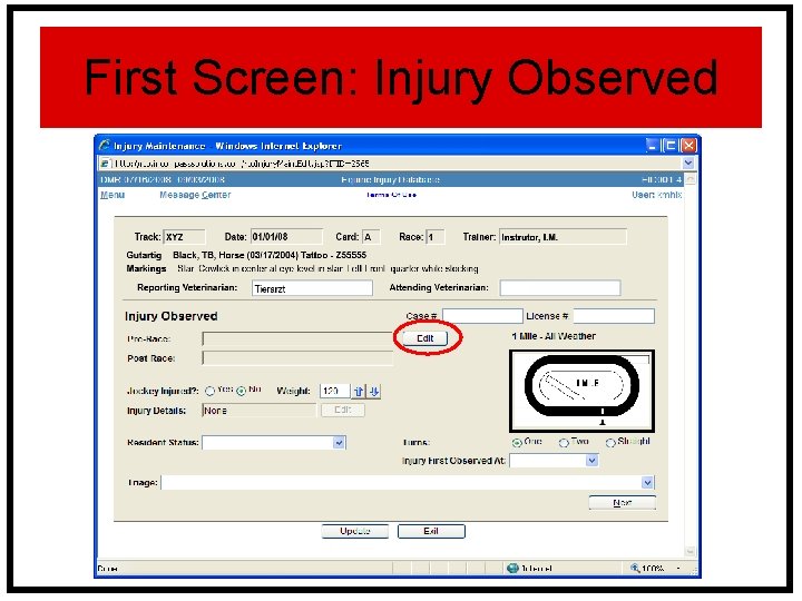 First Screen: Injury Observed 