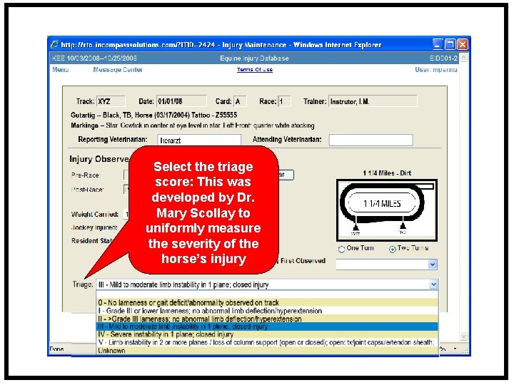 Select the triage score: This was developed by Dr. Mary Scollay to uniformly measure