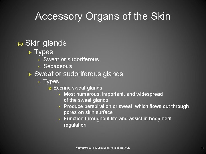 Accessory Organs of the Skin glands Ø Types • • Ø Sweat or sudoriferous