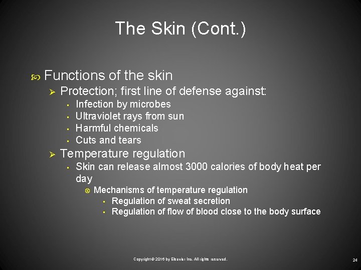 The Skin (Cont. ) Functions of the skin Ø Protection; first line of defense