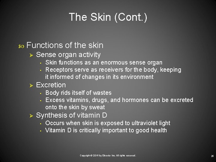 The Skin (Cont. ) Functions of the skin Ø Sense organ activity • •