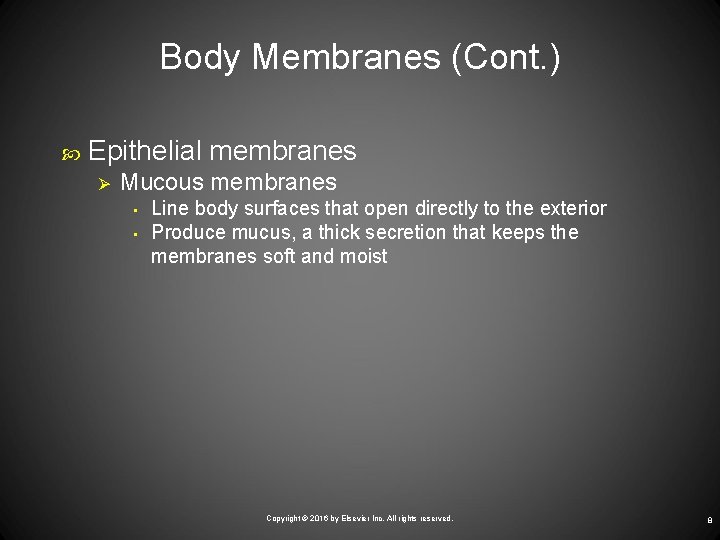 Body Membranes (Cont. ) Epithelial membranes Ø Mucous membranes • • Line body surfaces