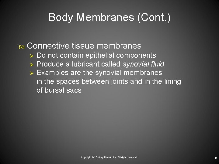 Body Membranes (Cont. ) Connective tissue membranes Ø Ø Ø Do not contain epithelial