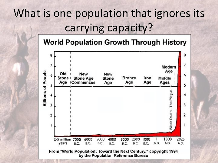 What is one population that ignores its carrying capacity? 