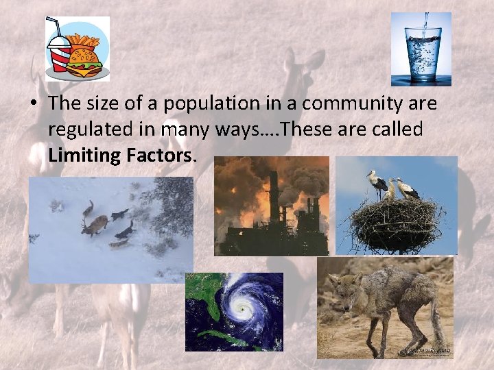  • The size of a population in a community are regulated in many