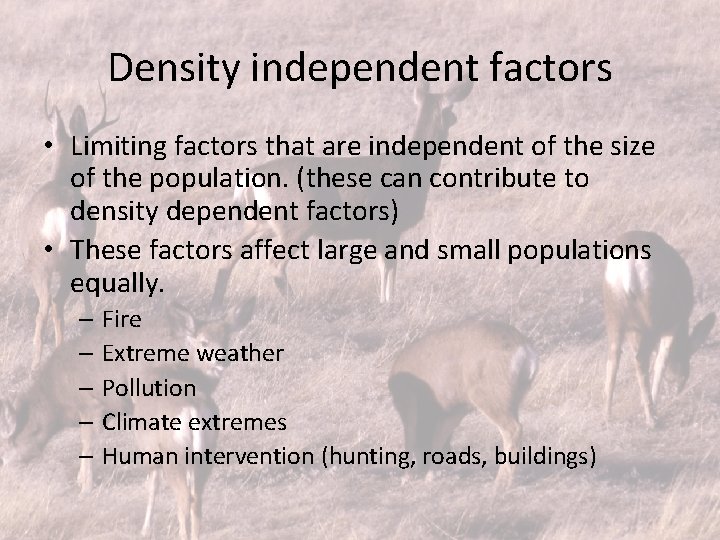 Density independent factors • Limiting factors that are independent of the size of the