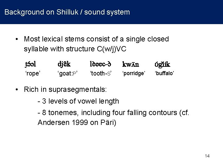  Background on Shilluk / sound system • Most lexical stems consist of a