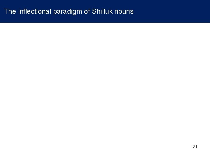  The inflectional paradigm of Shilluk nouns 21 