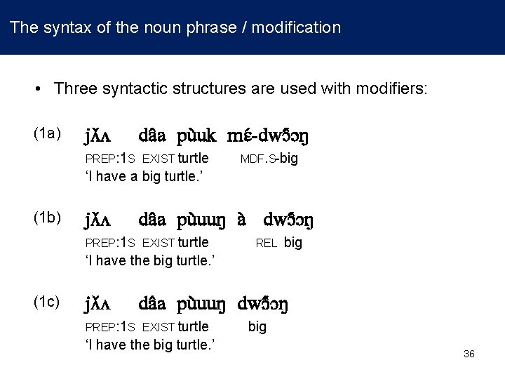  The syntax of the noun phrase / modification • Three syntactic structures are