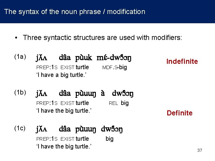  The syntax of the noun phrase / modification • Three syntactic structures are