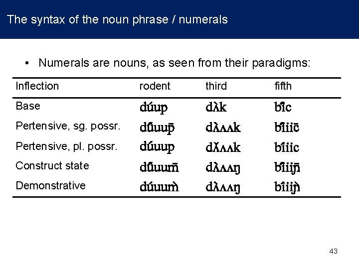  The syntax of the noun phrase / numerals • Numerals are nouns, as