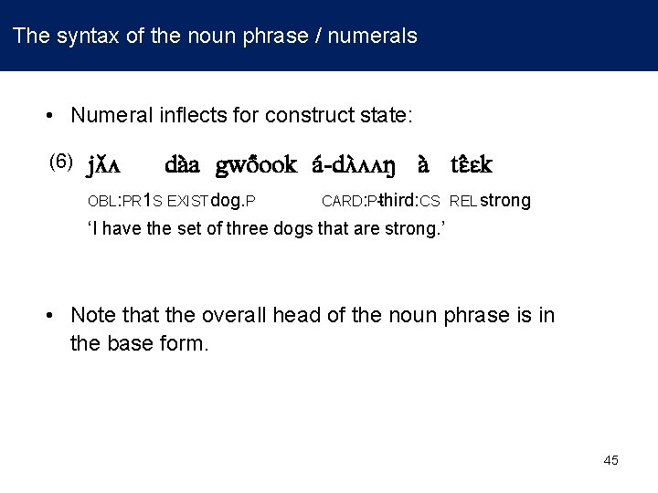  The syntax of the noun phrase / numerals • Numeral inflects for construct