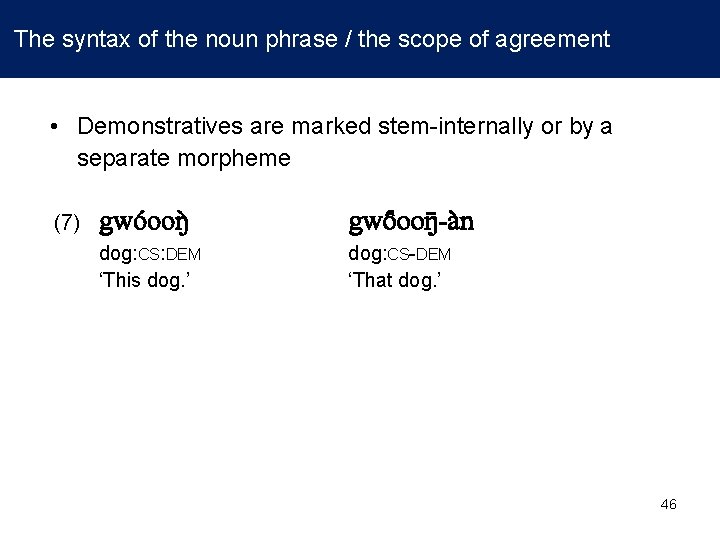  The syntax of the noun phrase / the scope of agreement • Demonstratives
