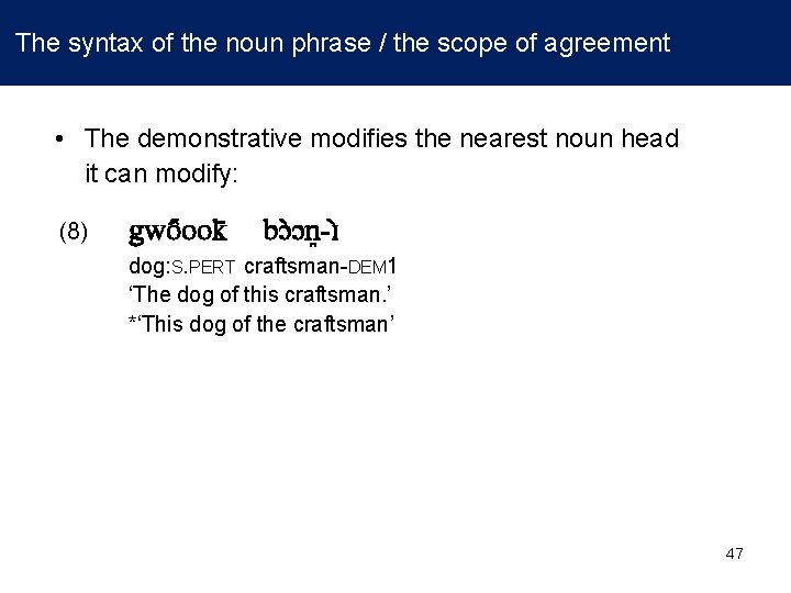  The syntax of the noun phrase / the scope of agreement • The