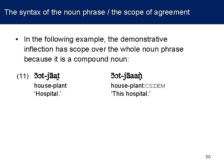  The syntax of the noun phrase / the scope of agreement • In