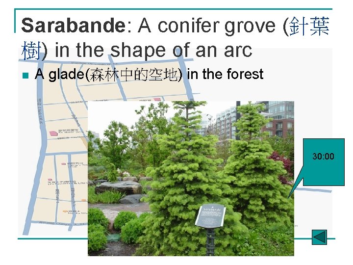 Sarabande: A conifer grove (針葉 樹) in the shape of an arc n A