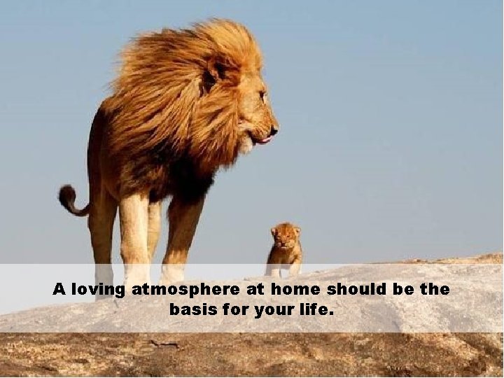 A loving atmosphere at home should be the basis for your life. 