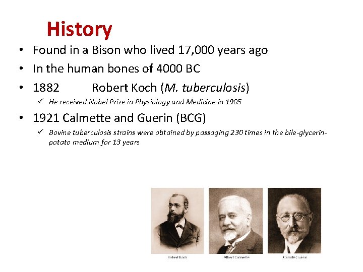 History • Found in a Bison who lived 17, 000 years ago • In