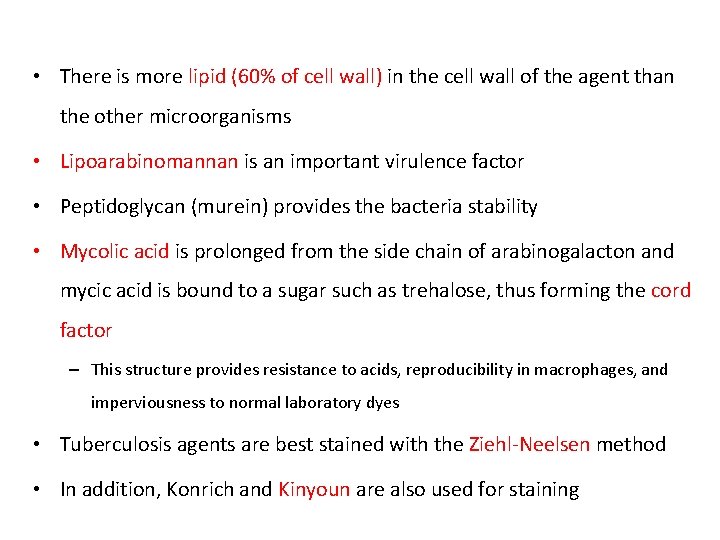  • There is more lipid (60% of cell wall) in the cell wall