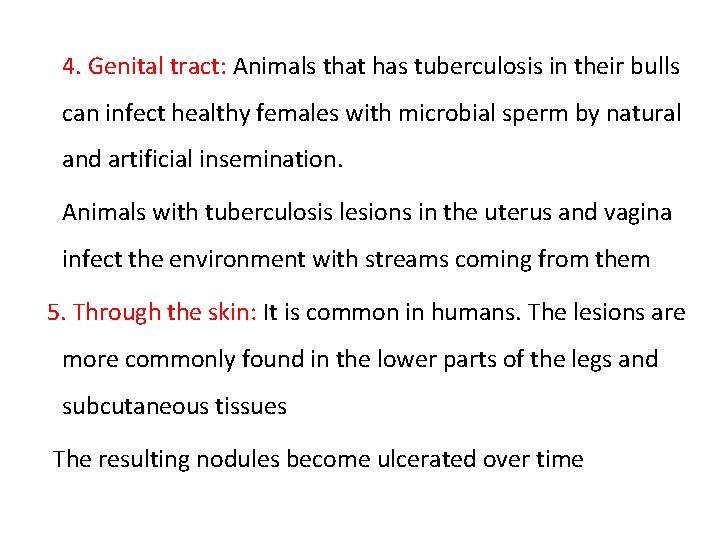 4. Genital tract: Animals that has tuberculosis in their bulls can infect healthy females