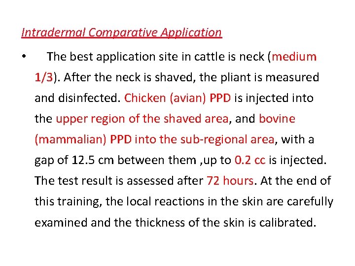 Intradermal Comparative Application • The best application site in cattle is neck (medium 1/3).