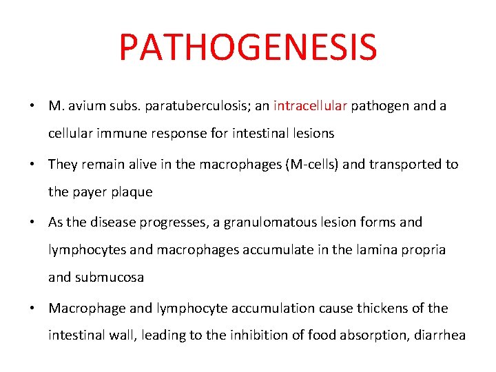 PATHOGENESIS • M. avium subs. paratuberculosis; an intracellular pathogen and a cellular immune response