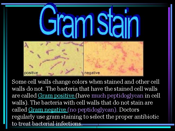 Some cell walls change colors when stained and other cell walls do not. The