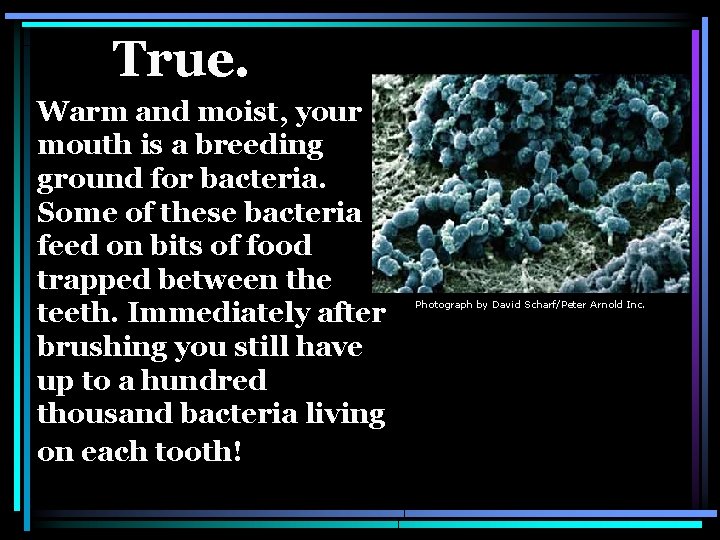 True. Warm and moist, your mouth is a breeding ground for bacteria. Some of