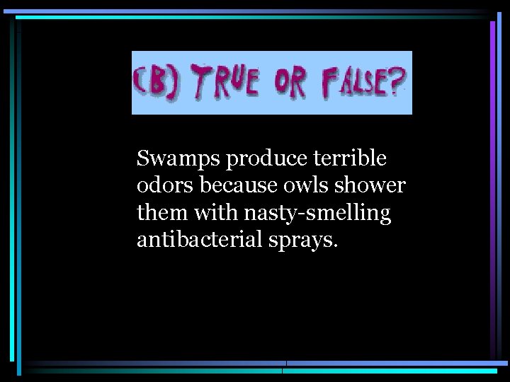  Swamps produce terrible odors because owls shower them with nasty-smelling antibacterial sprays. 